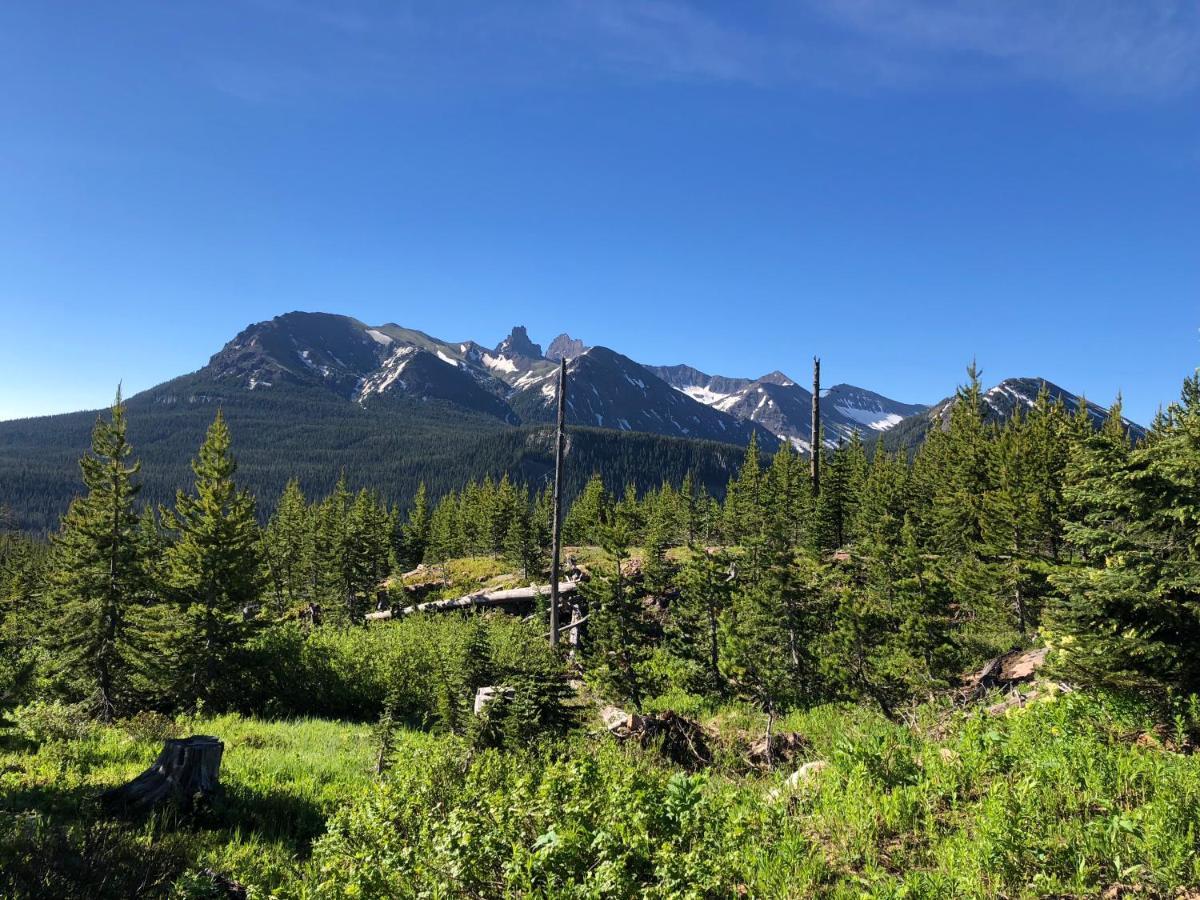 Antlers Lodge Кук-Сити Экстерьер фото